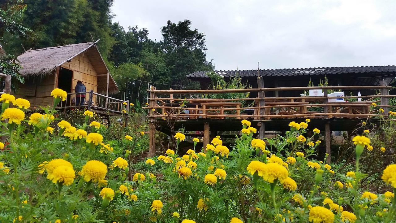 Baan Aingdoi Homestay, Csiangdau Kültér fotó