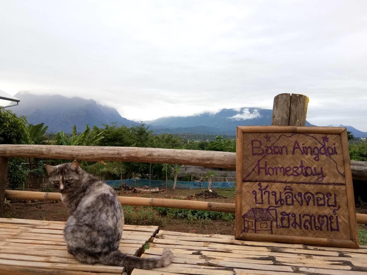Baan Aingdoi Homestay, Csiangdau Kültér fotó