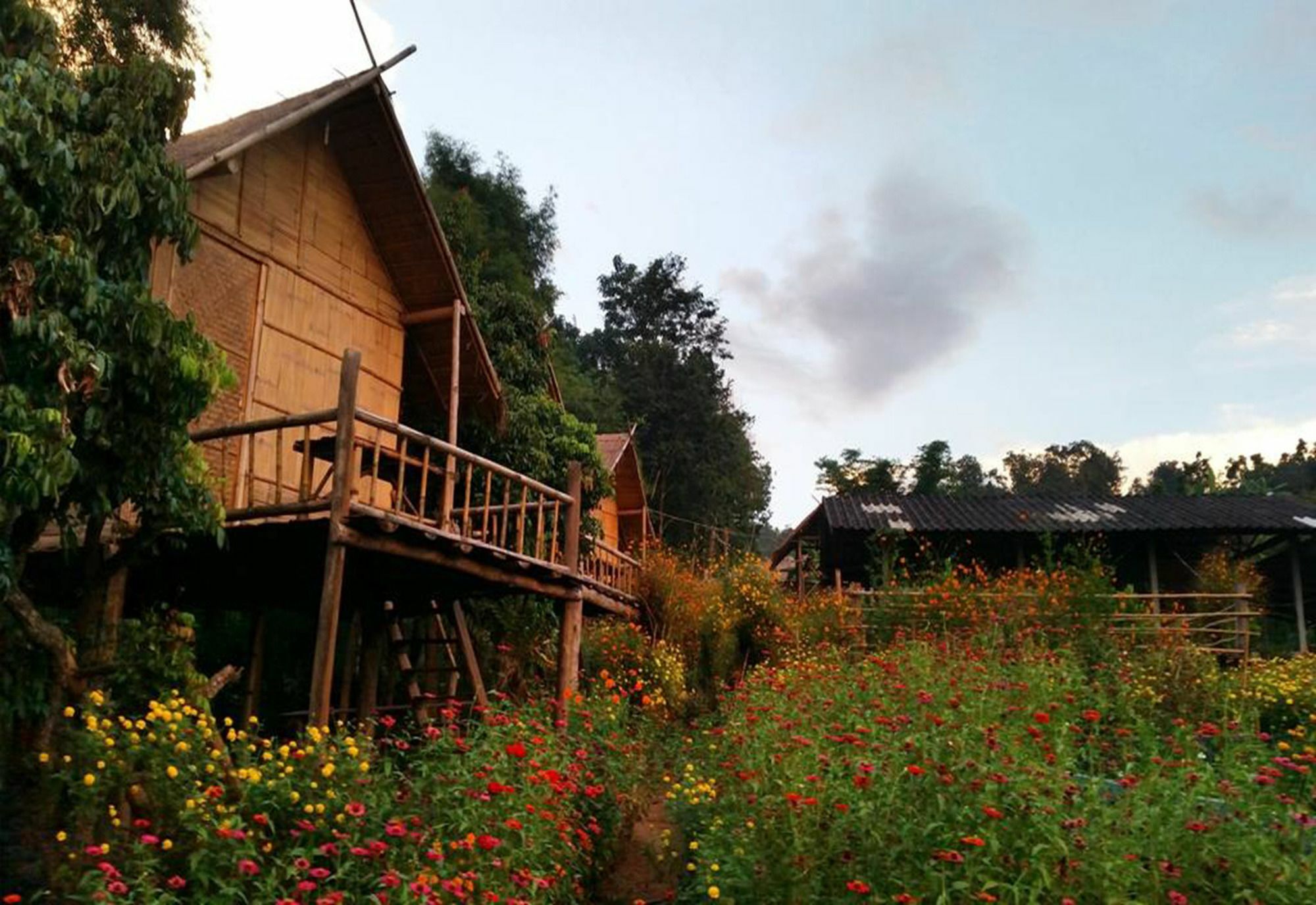 Baan Aingdoi Homestay, Csiangdau Kültér fotó