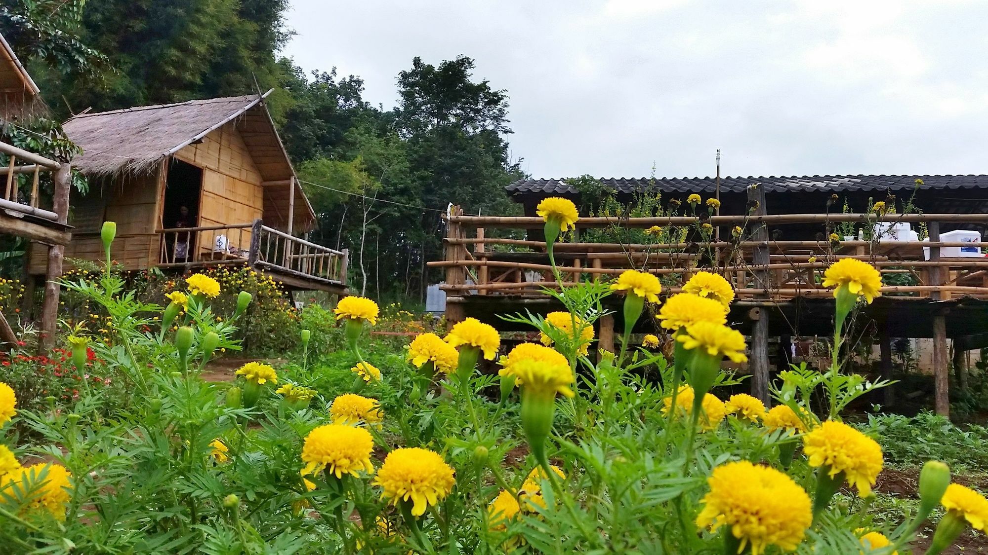 Baan Aingdoi Homestay, Csiangdau Kültér fotó