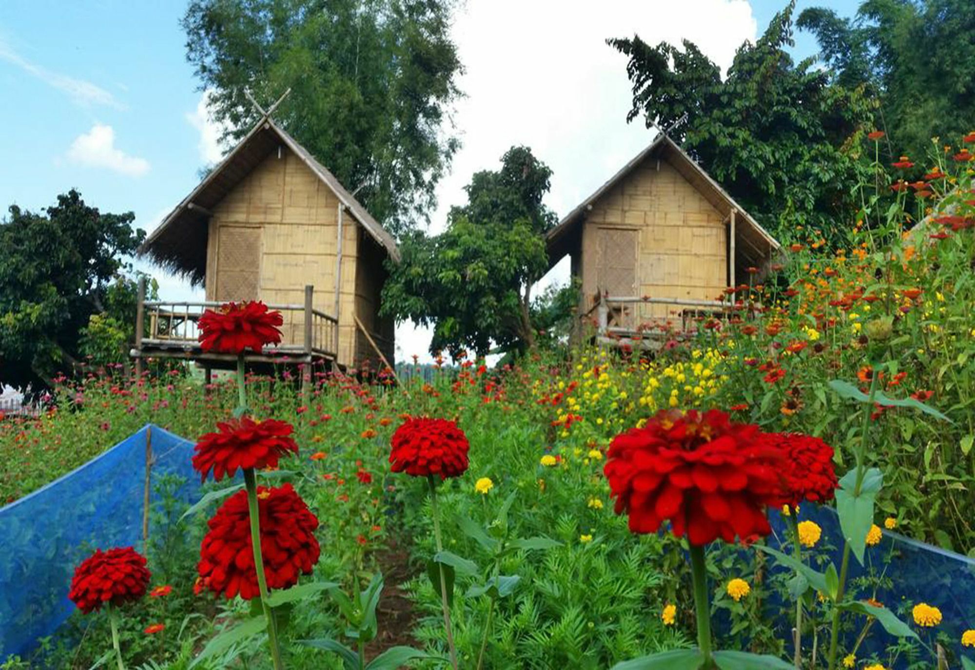 Baan Aingdoi Homestay, Csiangdau Kültér fotó