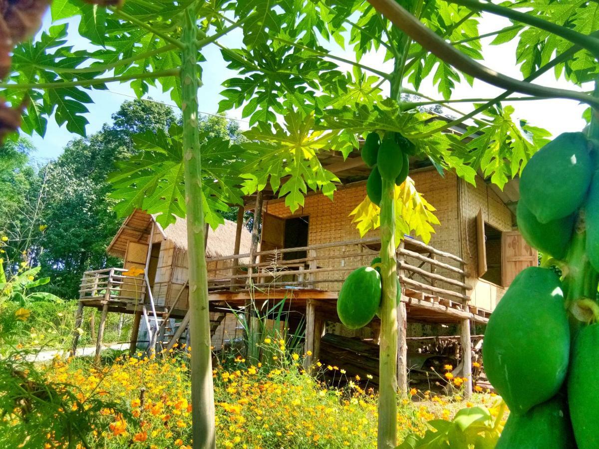 Baan Aingdoi Homestay, Csiangdau Kültér fotó