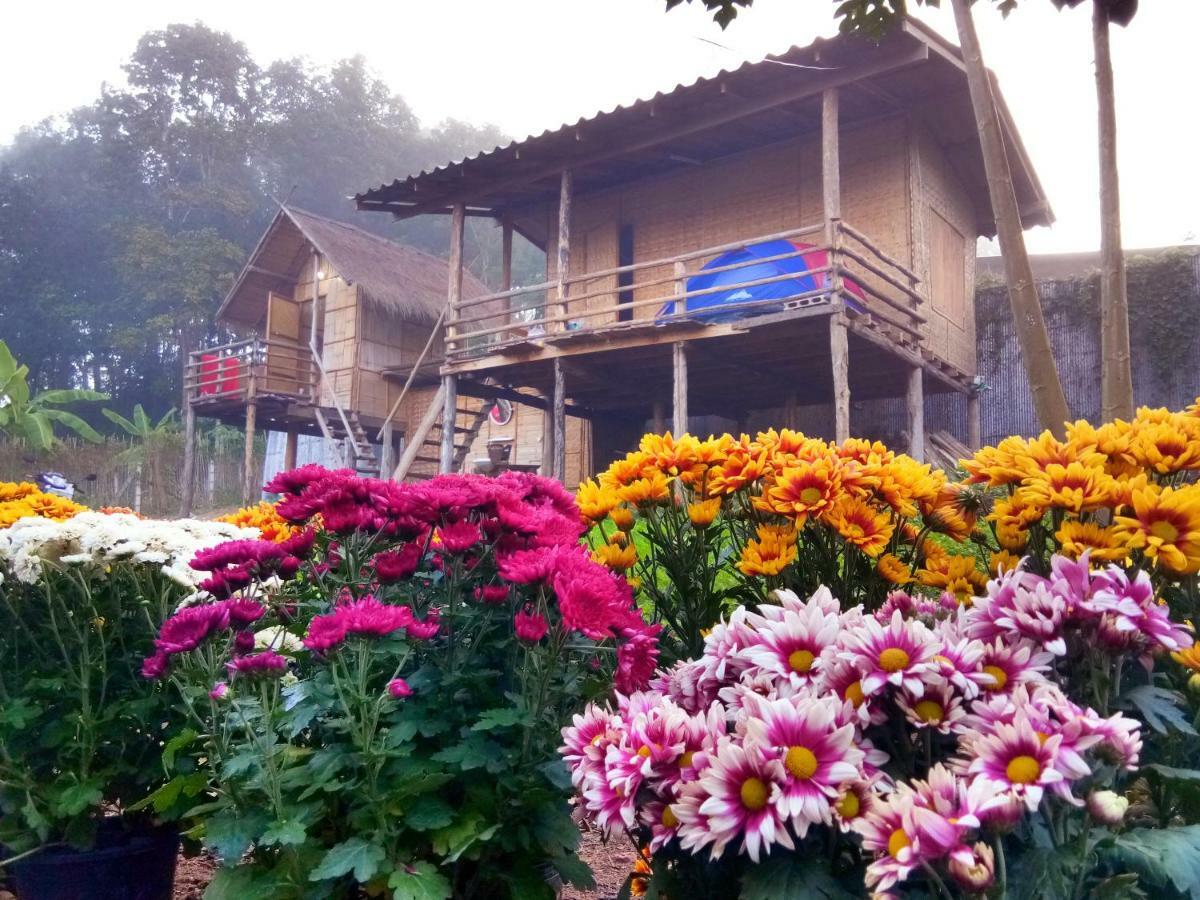 Baan Aingdoi Homestay, Csiangdau Kültér fotó