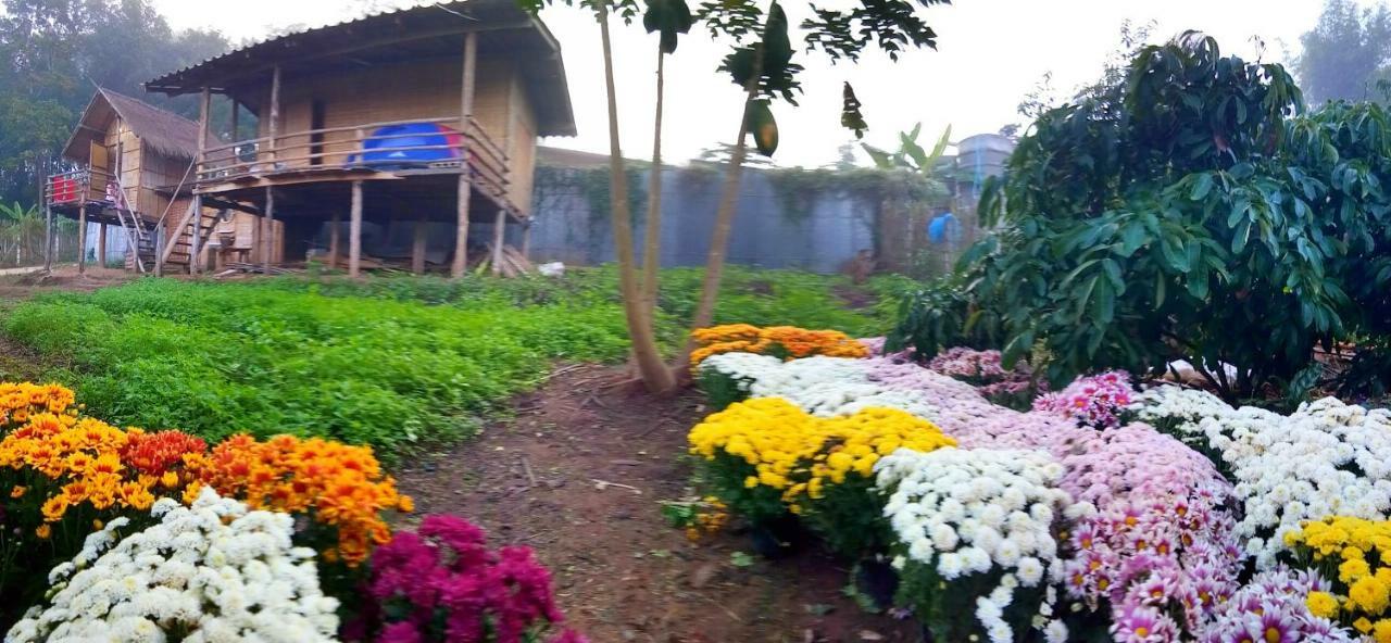 Baan Aingdoi Homestay, Csiangdau Kültér fotó