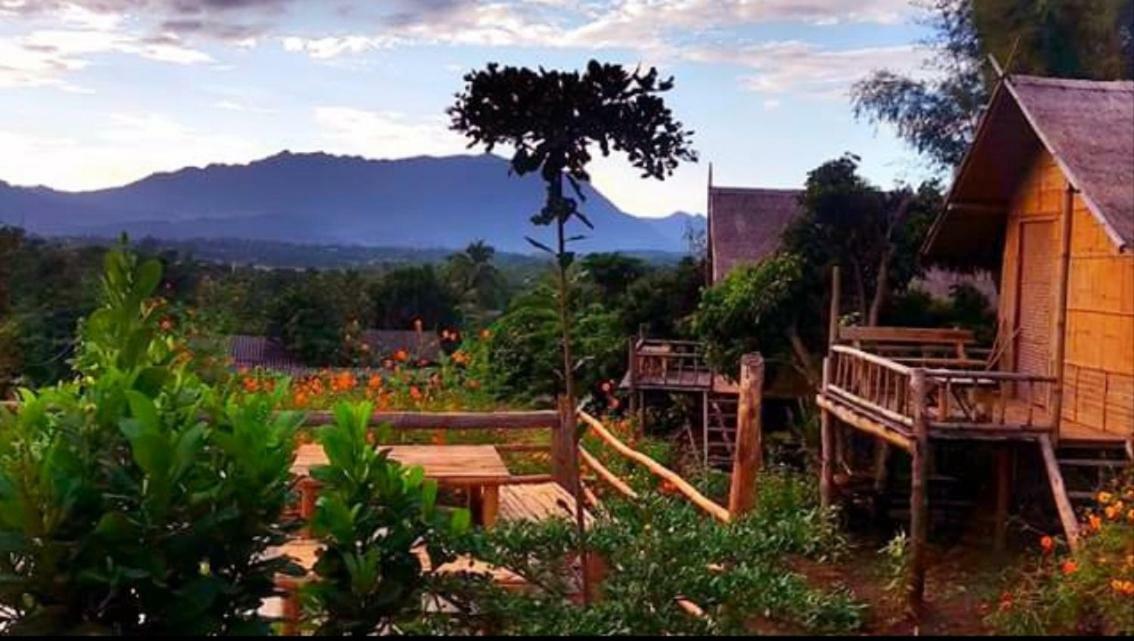 Baan Aingdoi Homestay, Csiangdau Kültér fotó