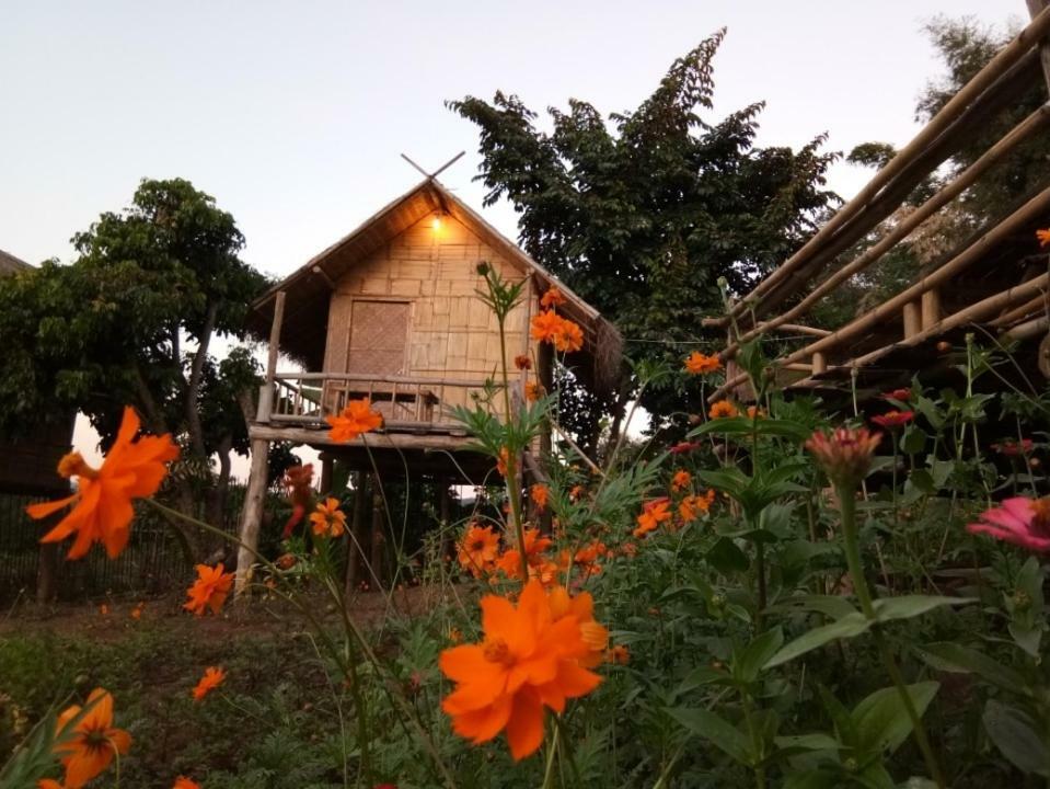 Baan Aingdoi Homestay, Csiangdau Kültér fotó