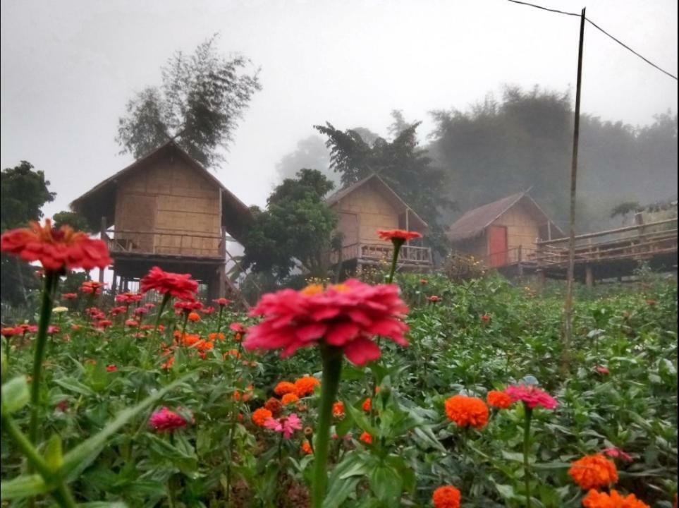 Baan Aingdoi Homestay, Csiangdau Kültér fotó